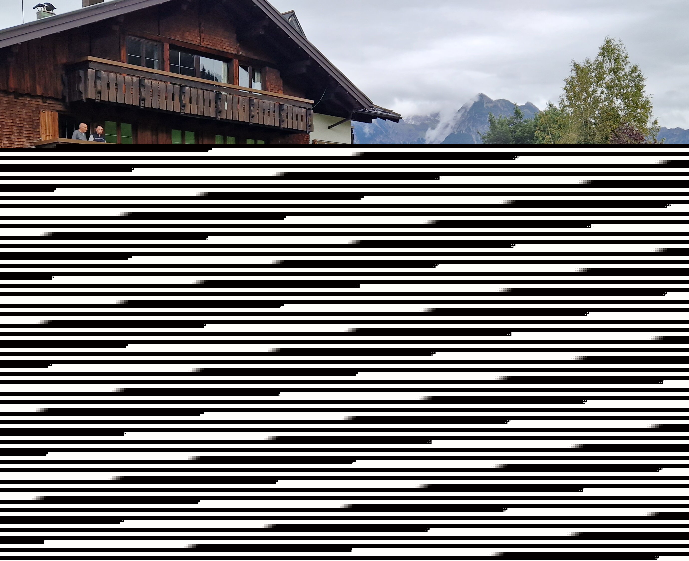 Viehscheid Obermaiselstein - Sonthofen